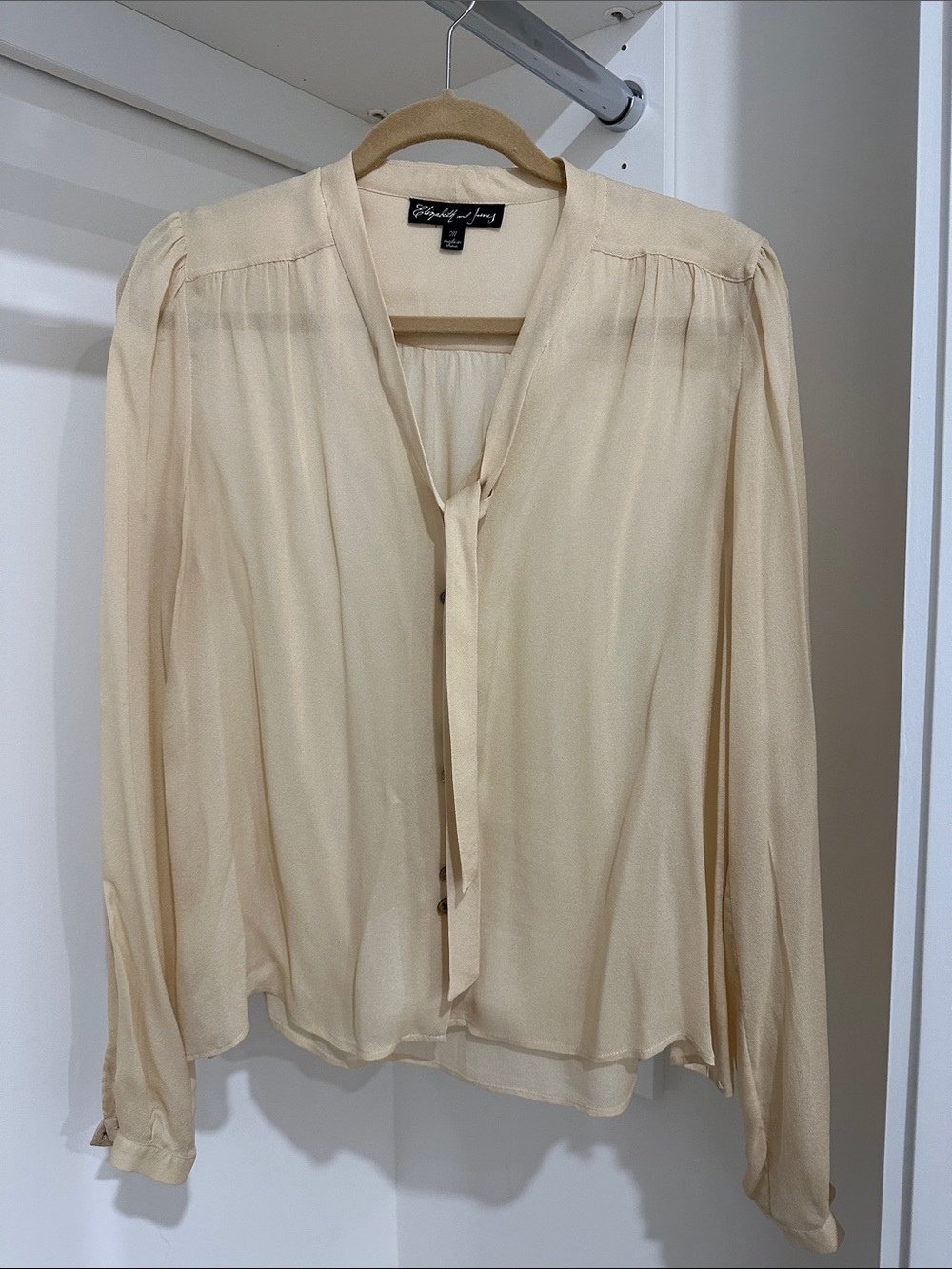 Elizabeth and James Cream Tie-Neck Silk Blouse